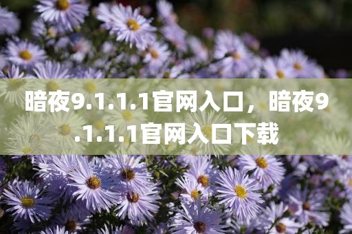 暗夜9.1.1.1官网入口，暗夜9.1.1.1官网入口下载