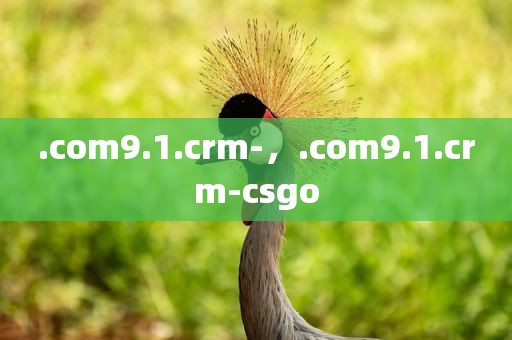 .com9.1.crm-，.com9.1.crm-csgo