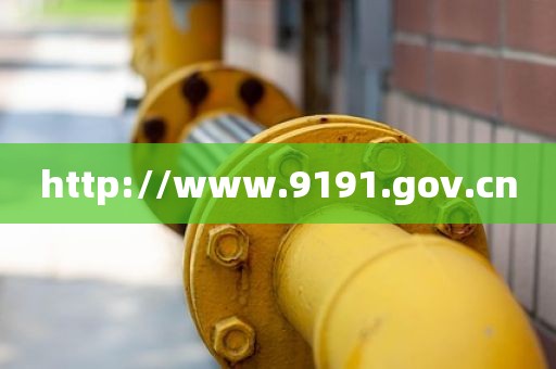 http://www.9191.gov.cn