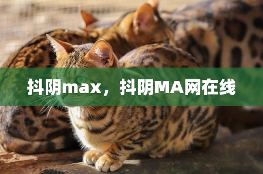 抖阴max，抖阴MA网在线