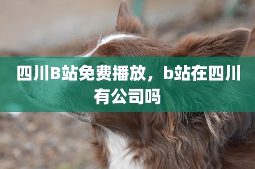 四川B站免费播放，b站在四川有公司吗