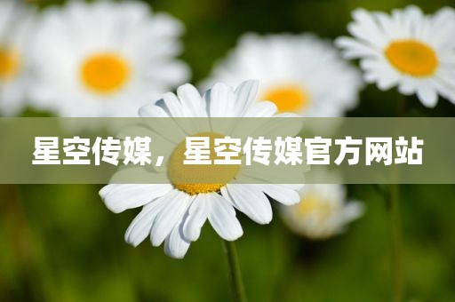 星空传媒，星空传媒官方网站