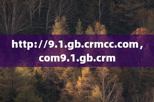 http://9.1.gb.crmcc.com，com9.1.gb.crm