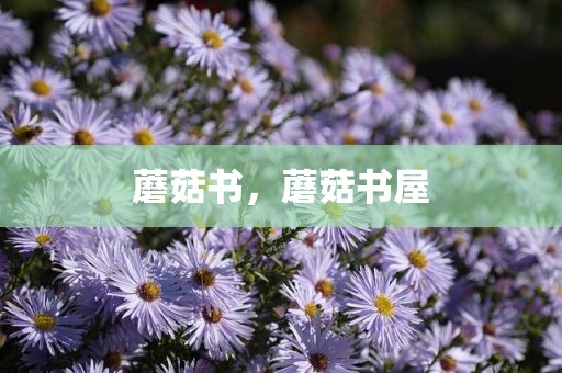 蘑菇书，蘑菇书屋