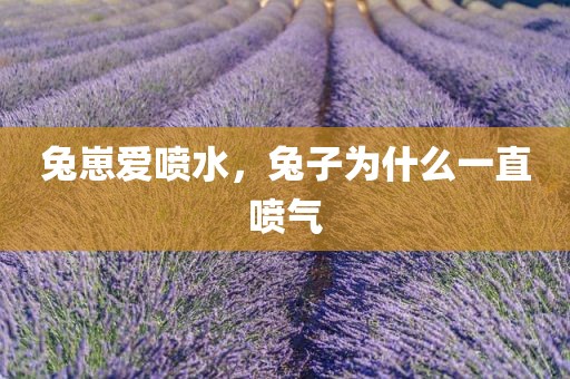 兔崽爱喷水，兔子为什么一直喷气