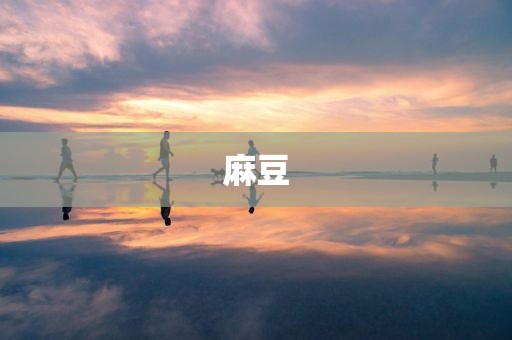 麻豆