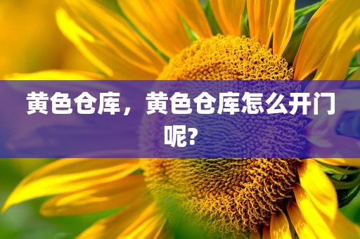 黄色仓库，黄色仓库怎么开门呢?