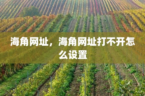 海角网址，海角网址打不开怎么设置
