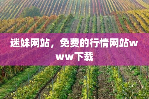 迷妹网站，免费的行情网站www下载