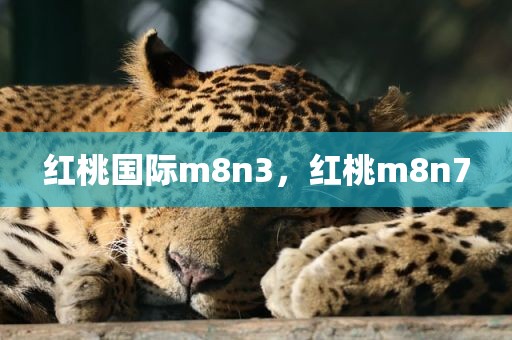 红桃国际m8n3，红桃m8n7