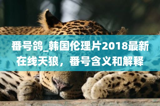 番号鸽_韩国伦理片2018最新在线天狼，番号含义和解释