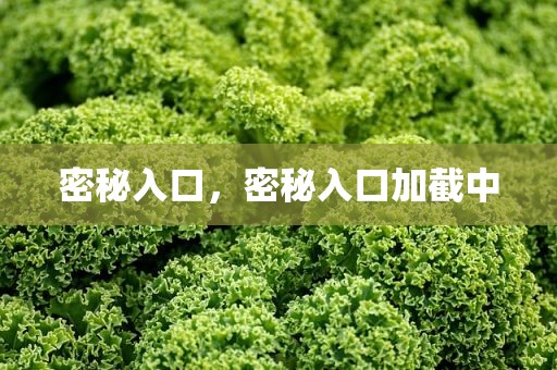 密秘入口，密秘入口加截中