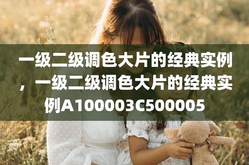一级二级调色大片的经典实例，一级二级调色大片的经典实例A100003C500005