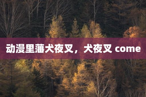 动漫里藩犬夜叉，犬夜叉 come