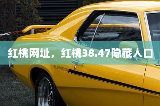 红桃网址，红桃38.47隐藏人口
