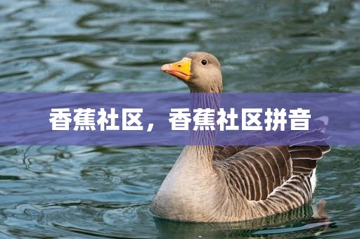 香蕉社区，香蕉社区拼音
