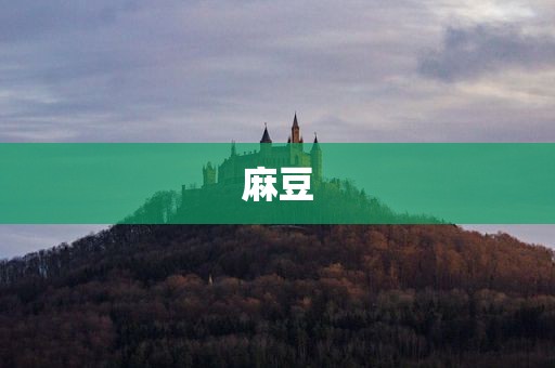 麻豆