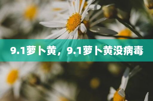 9.1萝卜黄，9.1萝卜黄没病毒