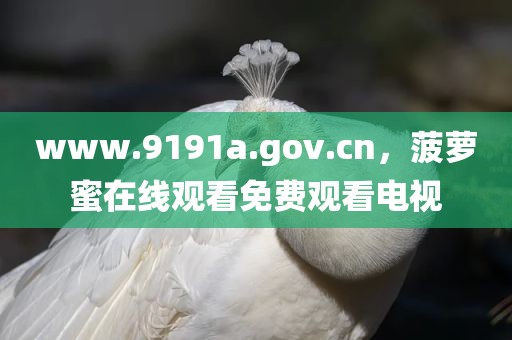 www.9191a.gov.cn，菠萝蜜在线观看免费观看电视