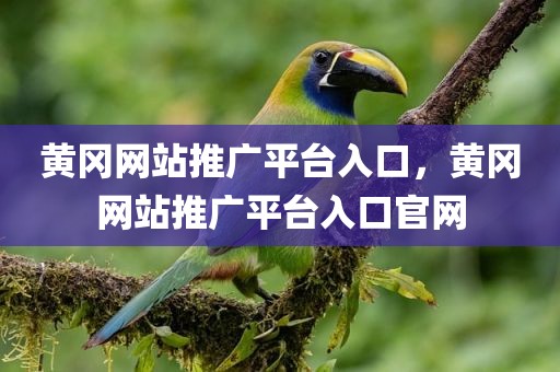黄冈网站推广平台入口，黄冈网站推广平台入口官网