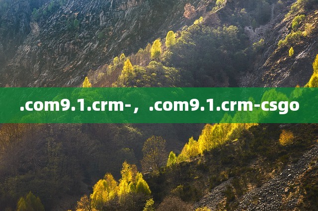 .com9.1.crm-，.com9.1.crm-csgo
