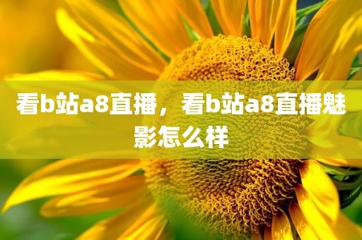 看b站a8直播，看b站a8直播魅影怎么样