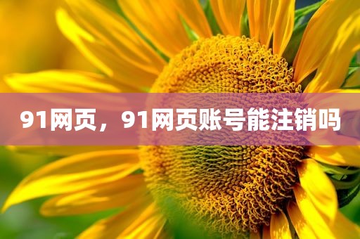 91网页，91网页账号能注销吗