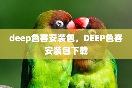 deep色客安装包，DEEP色客安装包下载