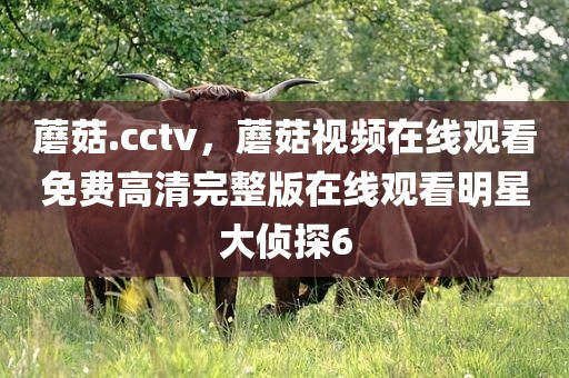 蘑菇.cctv，蘑菇视频在线观看免费高清完整版在线观看明星大侦探6