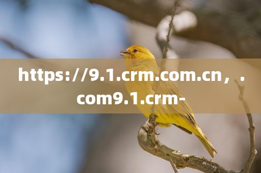https://9.1.crm.com.cn，.com9.1.crm-