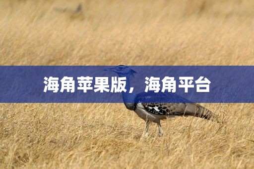 海角苹果版，海角平台