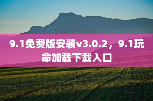 9.1免费版安装v3.0.2，9.1玩命加载下载入口