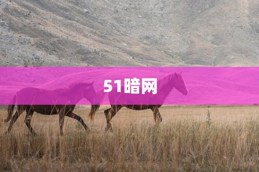 51暗网