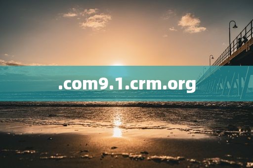 .com9.1.crm.org