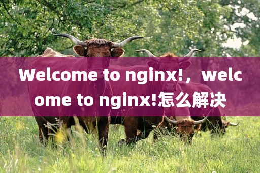 Welcome to nginx!，welcome to nginx!怎么解决