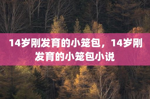 14岁刚发育的小笼包，14岁刚发育的小笼包小说