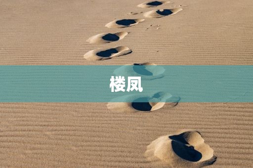 楼凤