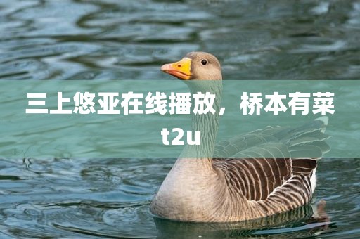 三上悠亚在线播放，桥本有菜t2u