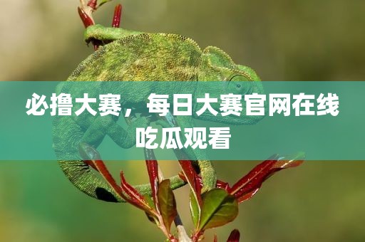 必撸大赛，每日大赛官网在线吃瓜观看