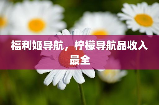 福利姬导航，柠檬导航品收入最全