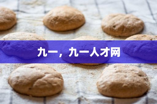 九一，九一人才网
