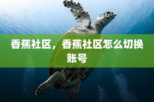 香蕉社区，香蕉社区怎么切换账号