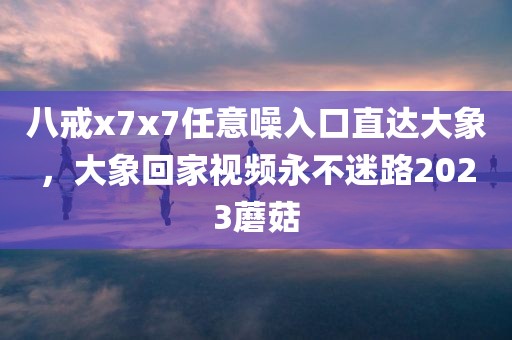 八戒x7x7任意噪入口直达大象，大象回家视频永不迷路2023蘑菇