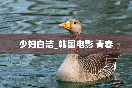 少妇白洁_韩国电影 青春