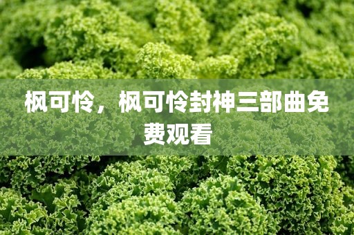 枫可怜，枫可怜封神三部曲免费观看