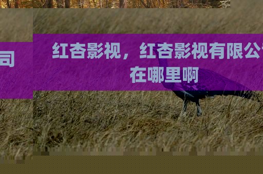红杏影视，红杏影视有限公司在哪里啊