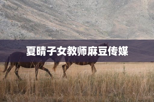 夏晴子女教师麻豆传媒