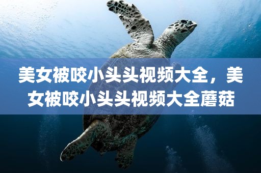 美女被咬小头头视频大全，美女被咬小头头视频大全蘑菇