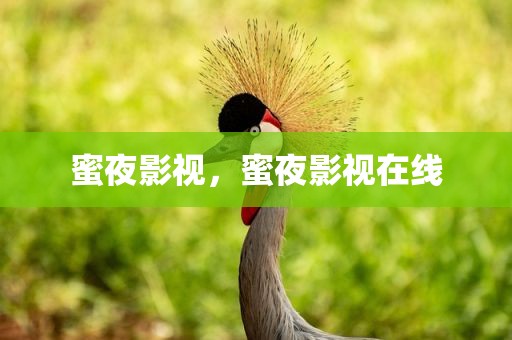 蜜夜影视，蜜夜影视在线