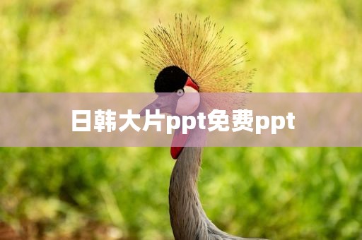 日韩大片ppt免费ppt